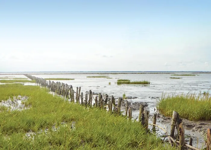 Ferienhaus Beautiful In With Sauna