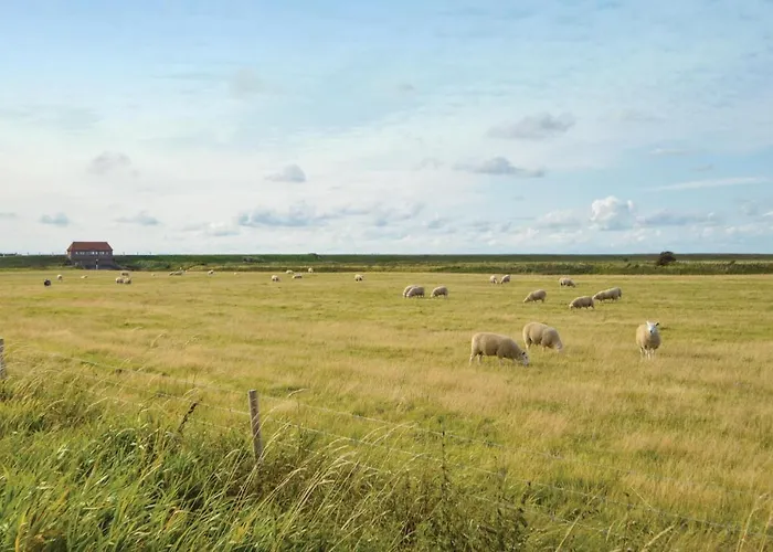 Beautiful In With Sauna